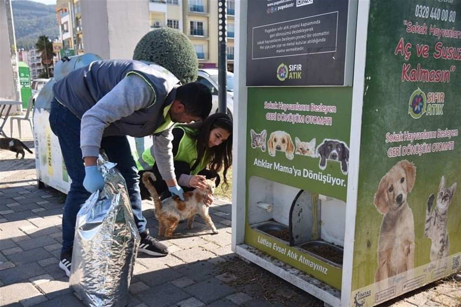 Deprem bölgesindeki sokak hayvanları unutulmadı