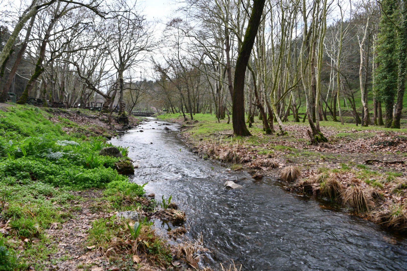 Tabiat parkındaki dere temizlendi