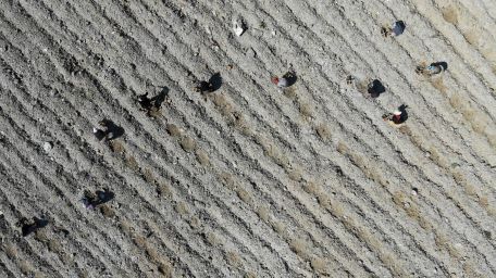 Kazdağları’ndaki eski maden sahası lavanta kokacak