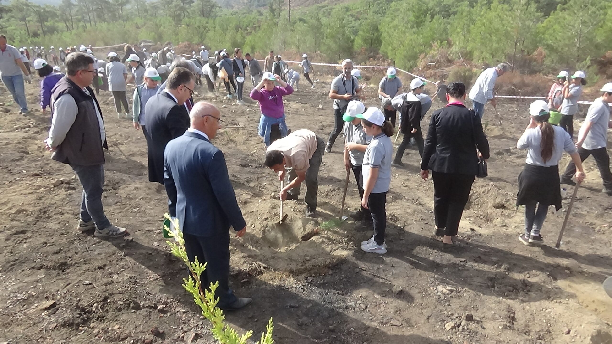 Kazdağları’na 300 bin fidan…