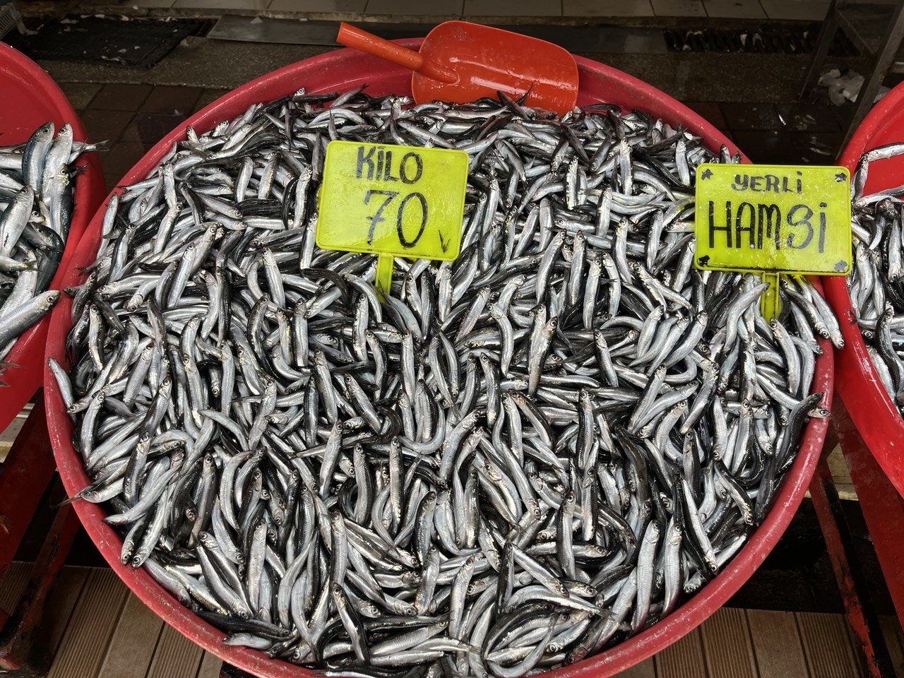 Bandırma’da hamsi bolluğu yaşanıyor