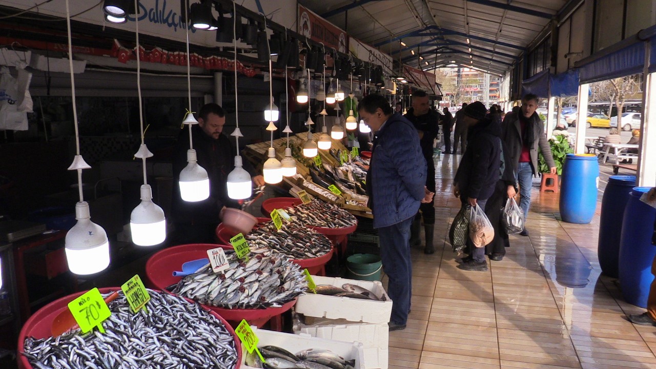 Bandırma’daki balık halinde hamsi ve istavrit bolluğu