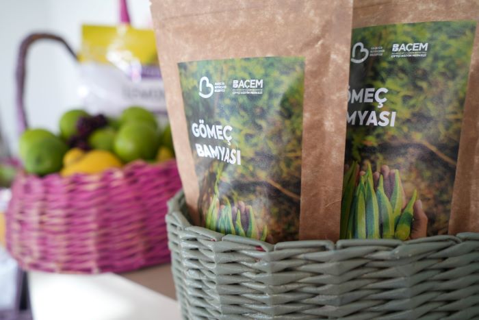 Balıkesir bamyasını cips yapıp 15 kat değer kattılar…Amerika pazarına gönderdiler