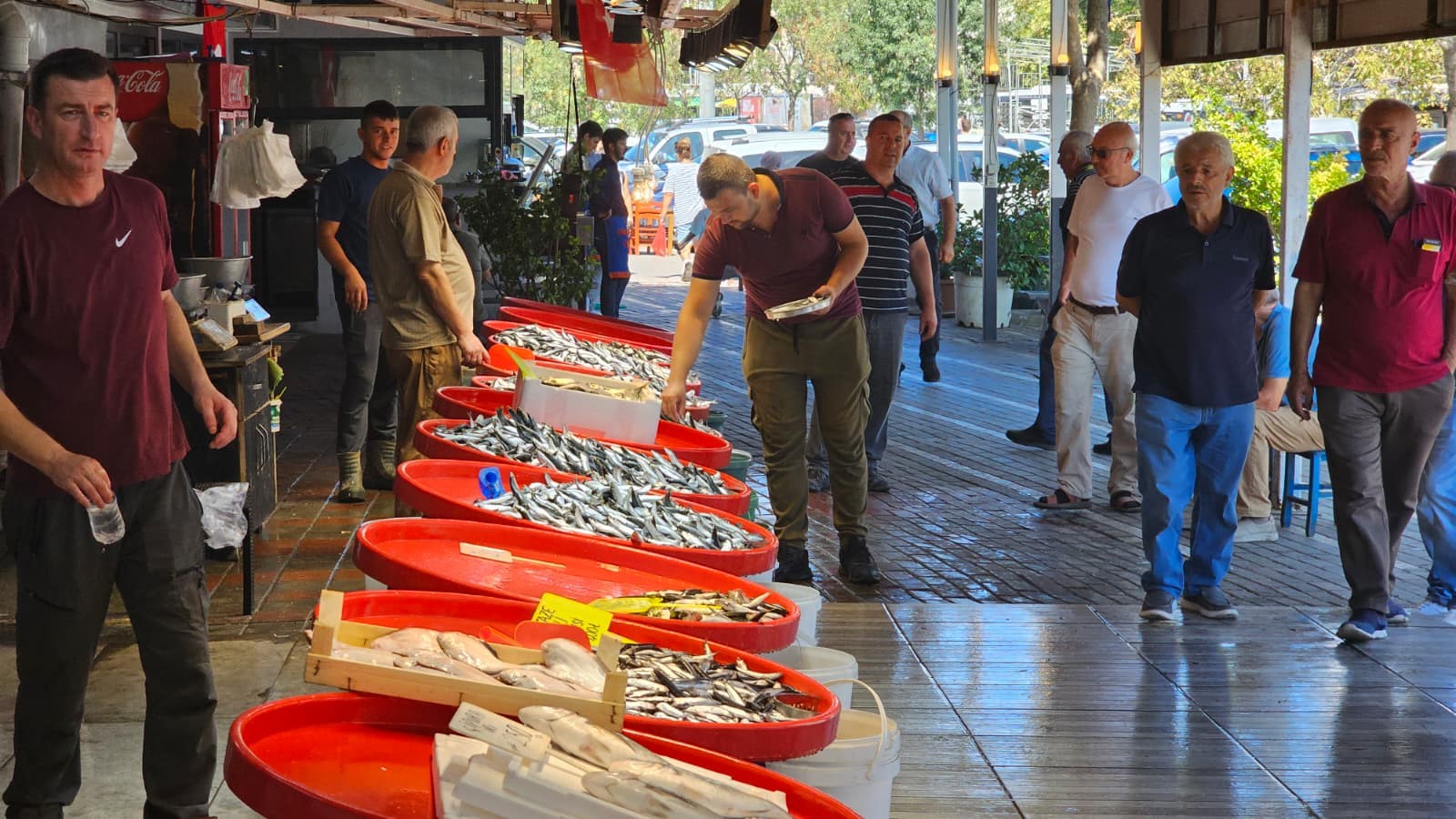 Av yasağı kalktı, balık tezgahları şenlendi